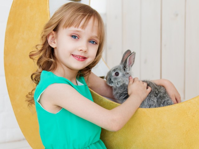 うさぎの飼い方